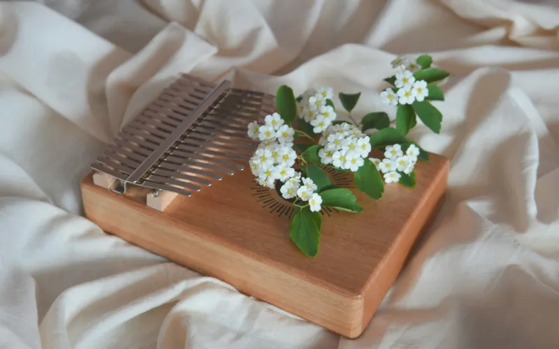 کالیمبا چیست
