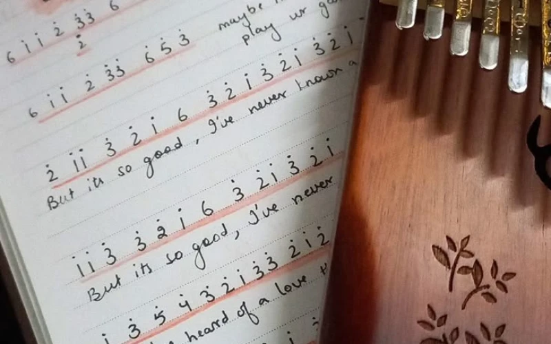 کالیمبا نوازی حرفه ای