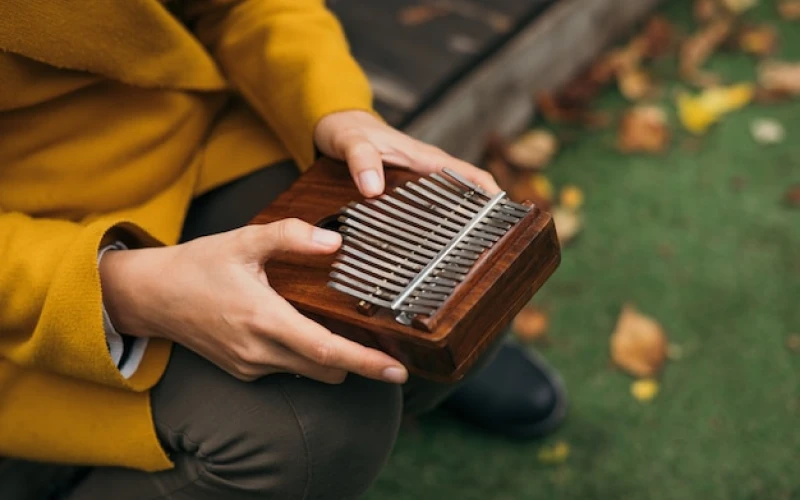 تمرین نواختن کالیمبا حرفه ای