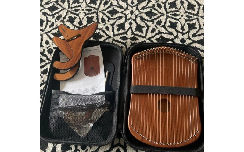 کیف مخصوص حمل هارپیکا